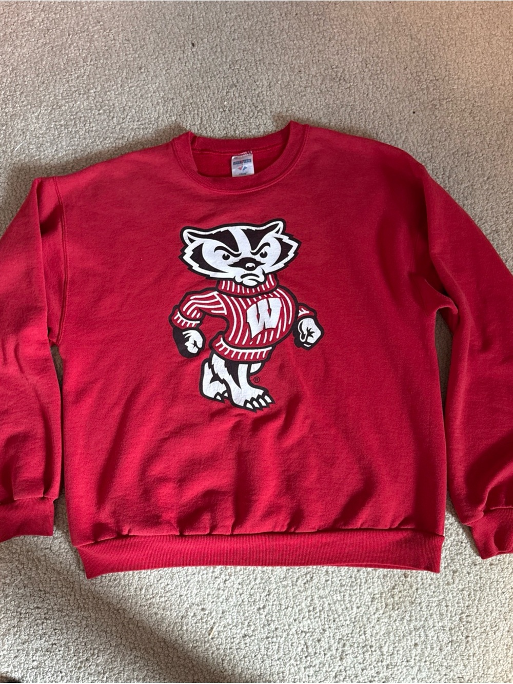 Vtg Wisconsin Badgers Bucky Red Crew Neck Sweatshirt Jerzees Medium - Picture 4 of 8